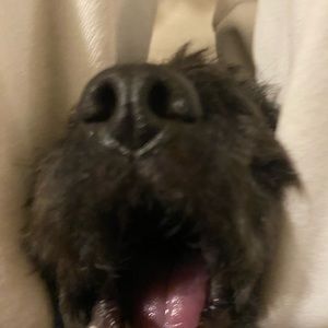 Meet your Posher, Myla